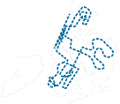 NY Street Map